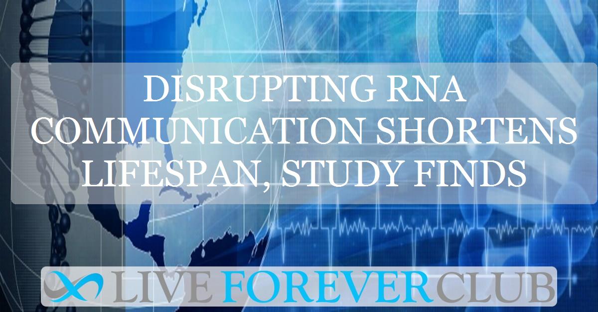 Disrupting RNA communication shortens lifespan, study finds