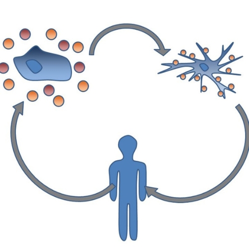 New edited immune cell therapy helps patients beat aggressive blood cancer