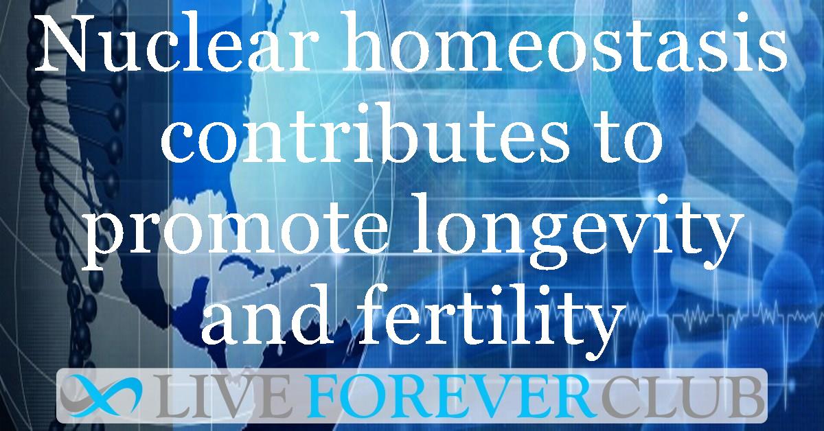 Nuclear homeostasis contributes to promote longevity and fertility, IMBB scientists