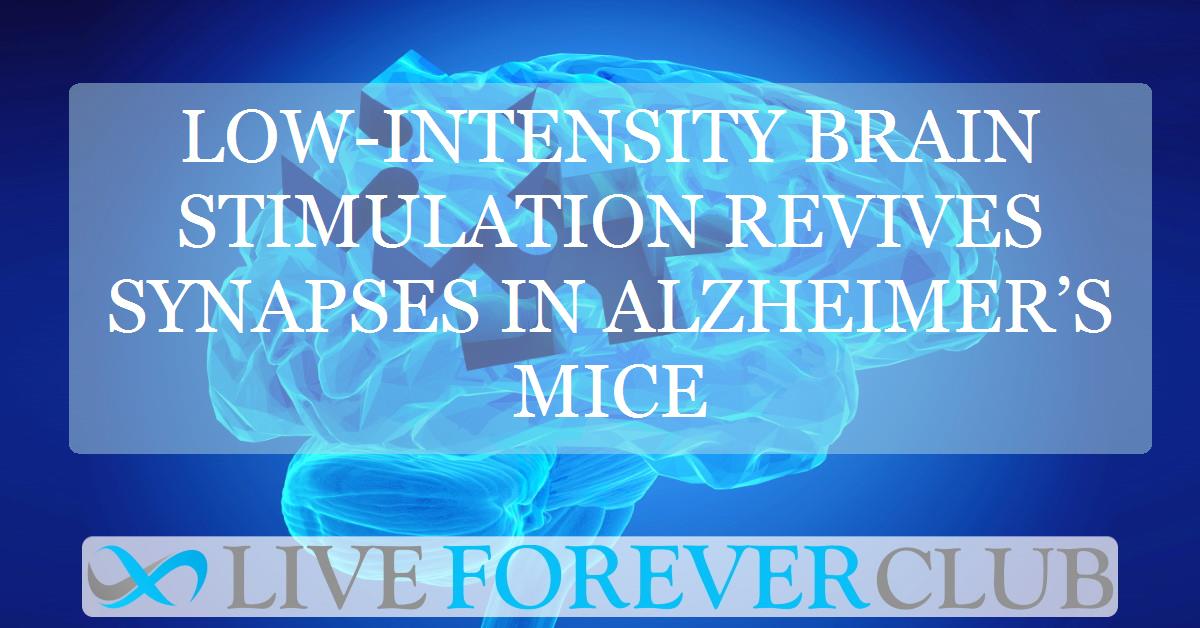 Low-intensity brain stimulation revives synapses in Alzheimer’s mice