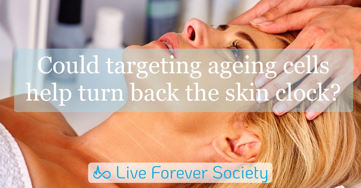 Could targeting ageing cells help turn back the skin clock?