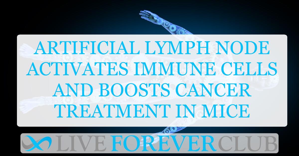 Artificial lymph node activates immune cells and boosts cancer treatment in mice