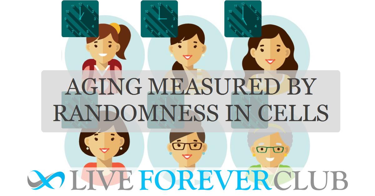 Aging measured by randomness in cells, study finds