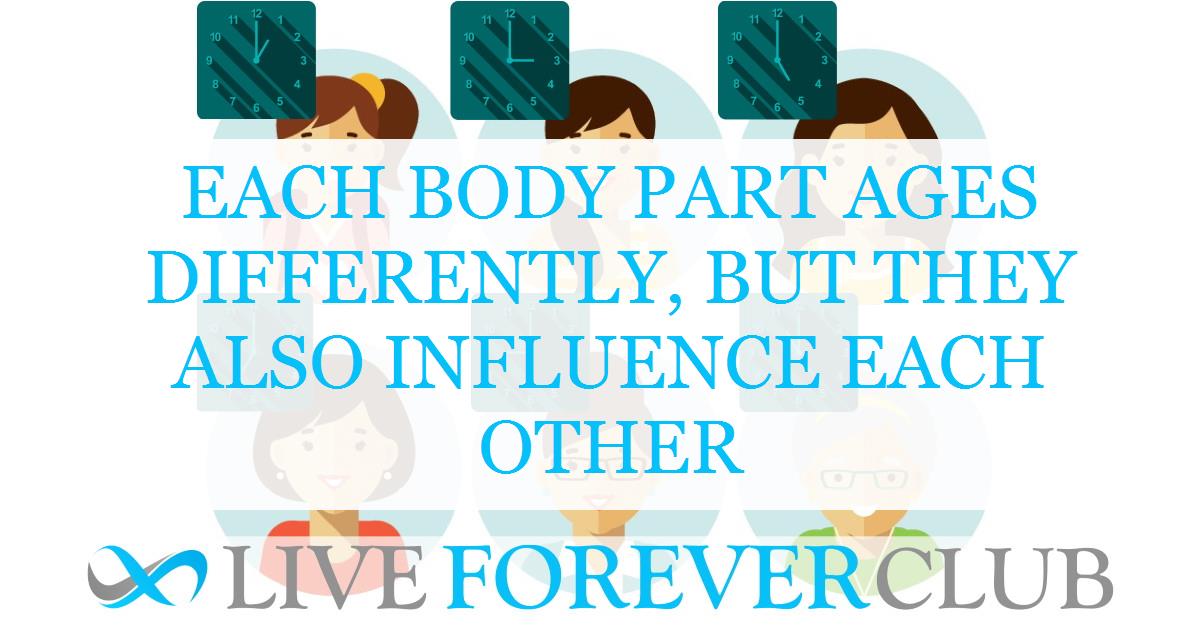 Each body part ages differently, but they also influence each other