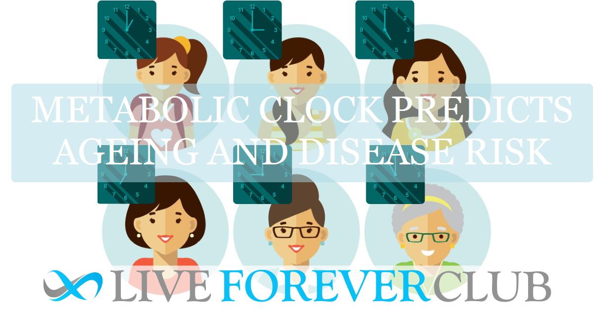 Metabolic clock predicts ageing and disease risk