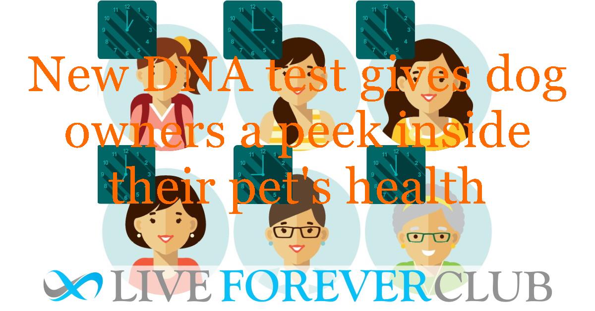 New DNA test gives dog owners a peek inside their pet's health