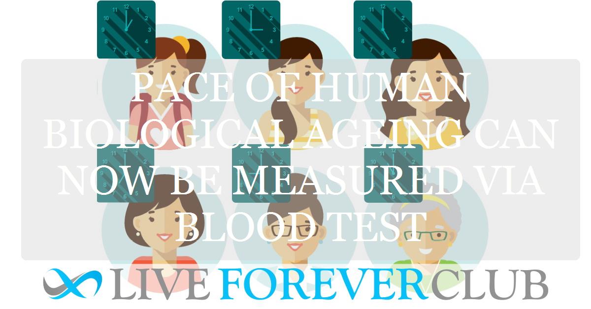 Pace of human biological ageing can now be measured via blood test