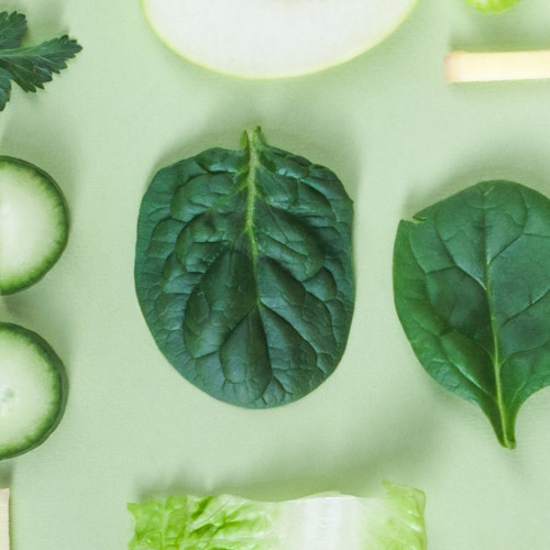 Study links reduced calorie intake to healthier, younger-looking brain cells