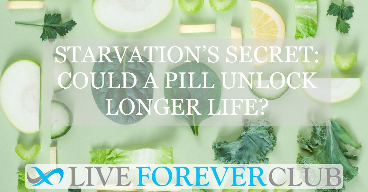 Starvation’s secret: could a pill unlock longer life?