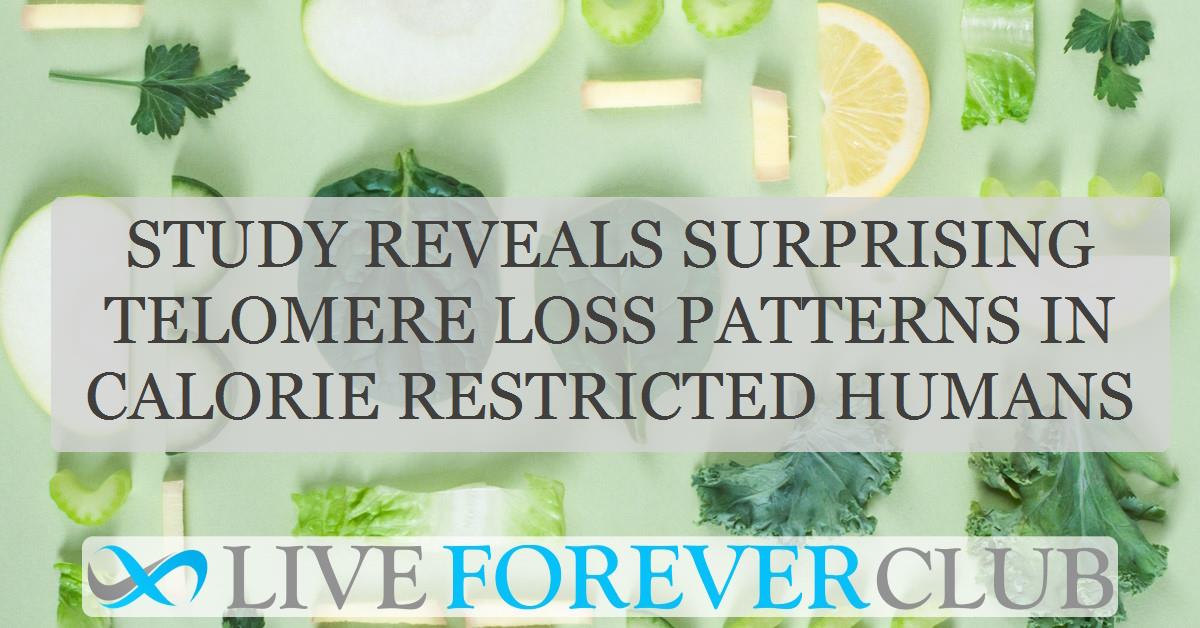 Study reveals surprising telomere loss patterns in calorie restricted humans
