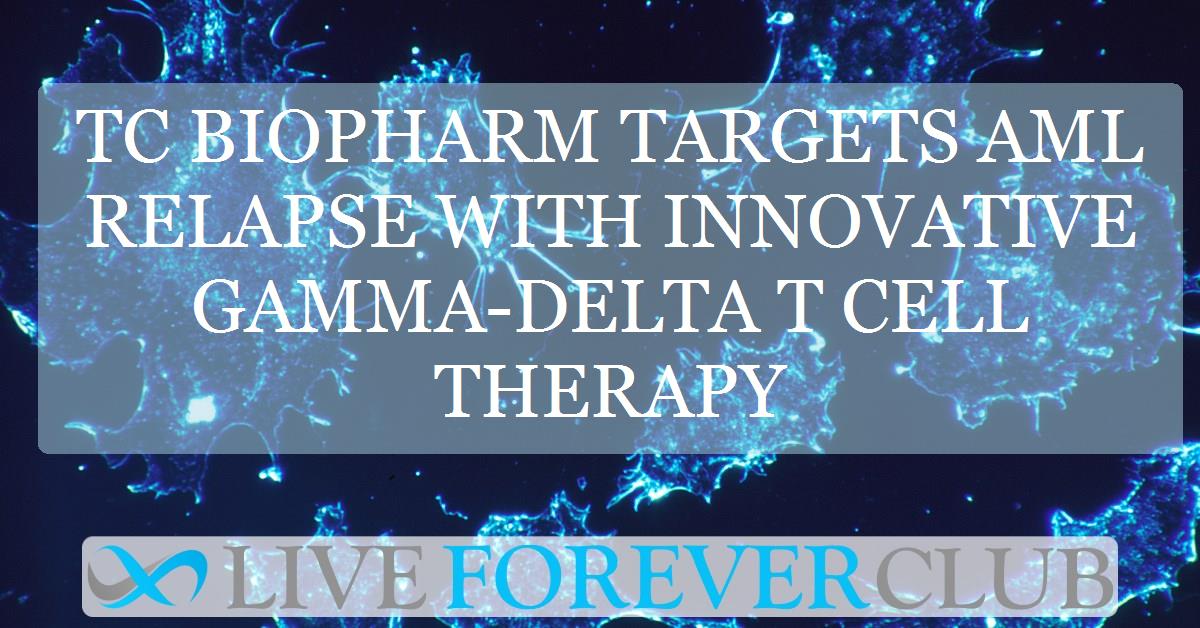 TC BioPharm targets AML relapse with innovative gamma-delta T cell therapy