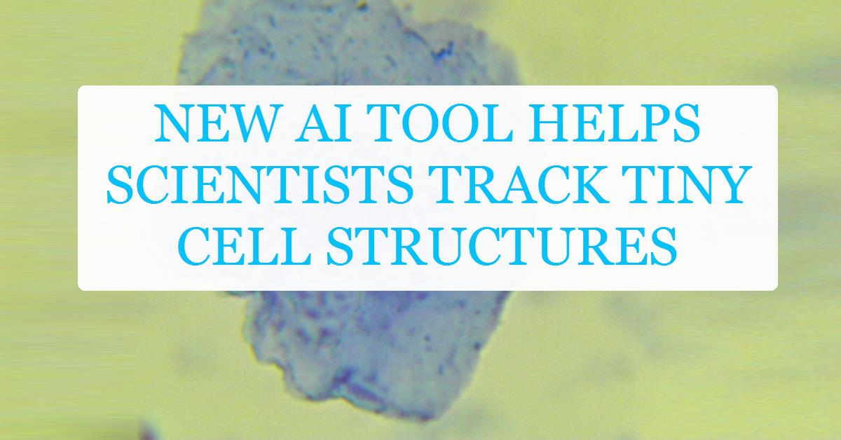 New AI tool helps scientists track tiny cell structures