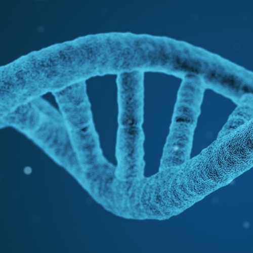 d/DNA/dna-thumbnail.jpg