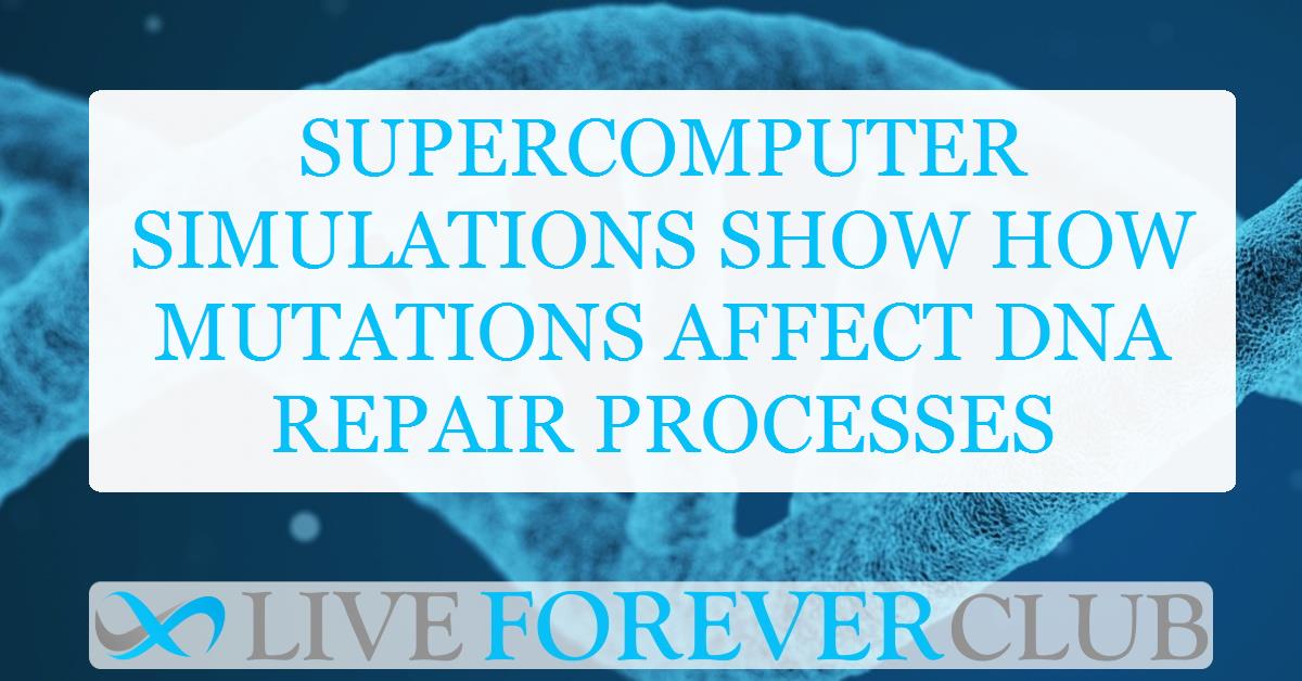 Supercomputer simulations show how mutations affect DNA repair processes