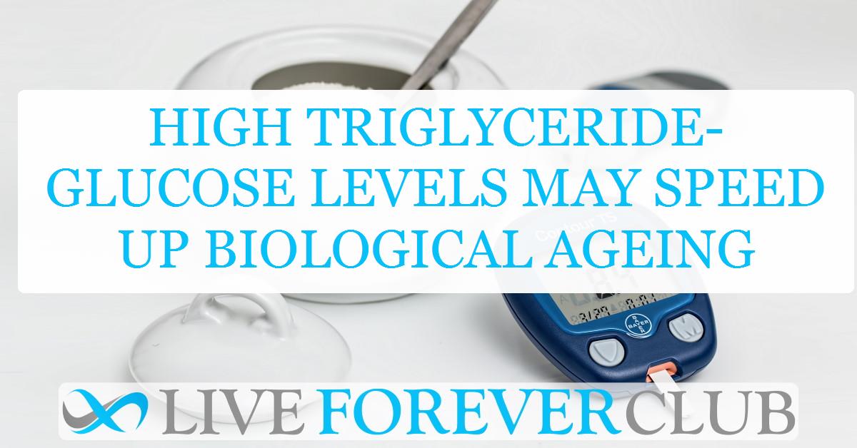High triglyceride-glucose levels may speed up biological ageing