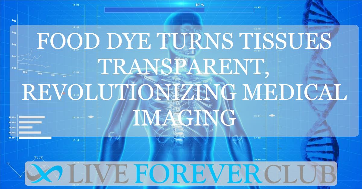 Food dye turns tissues transparent, revolutionizing medical imaging