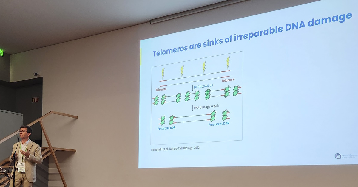 Summary of Fabrizio d’Adda di Fagagna presentation at Longevity Med Summit