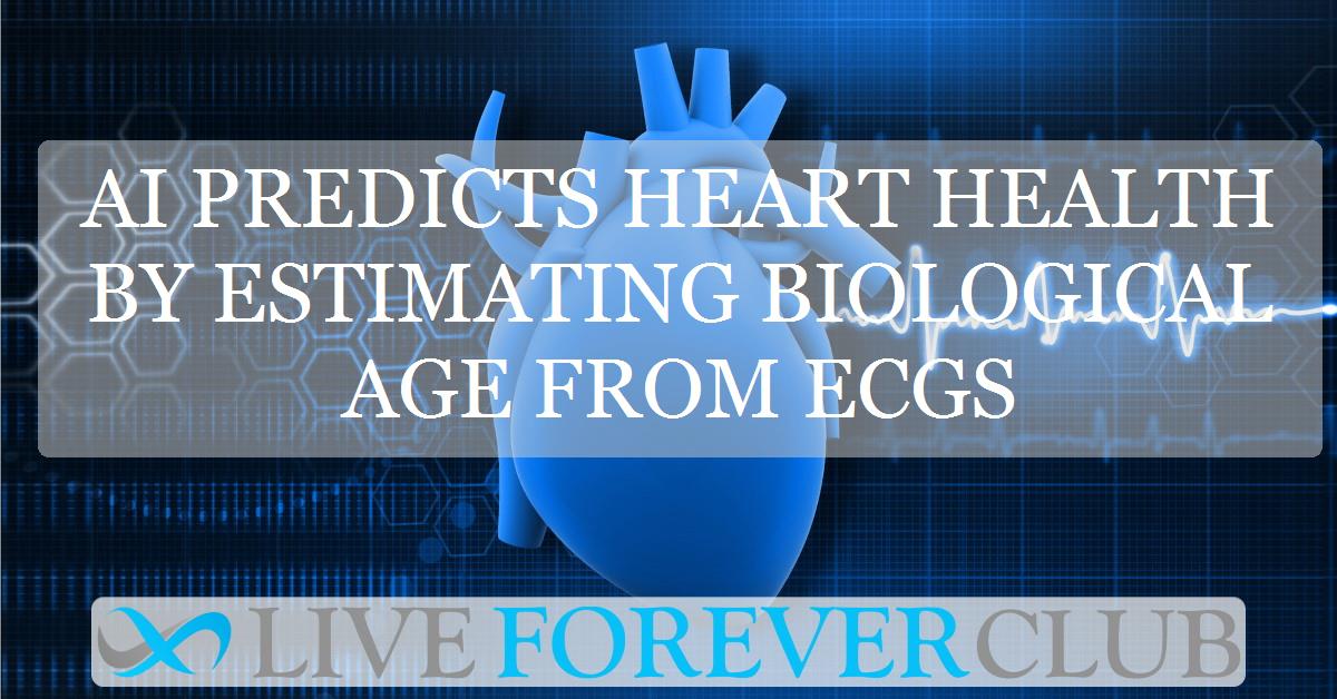 AI predicts heart health by estimating biological age from ECGs