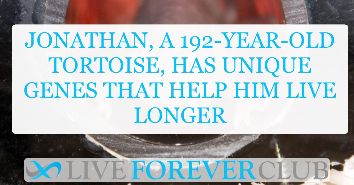 Jonathan, a 192-year-old tortoise, has unique genes that help him live longer