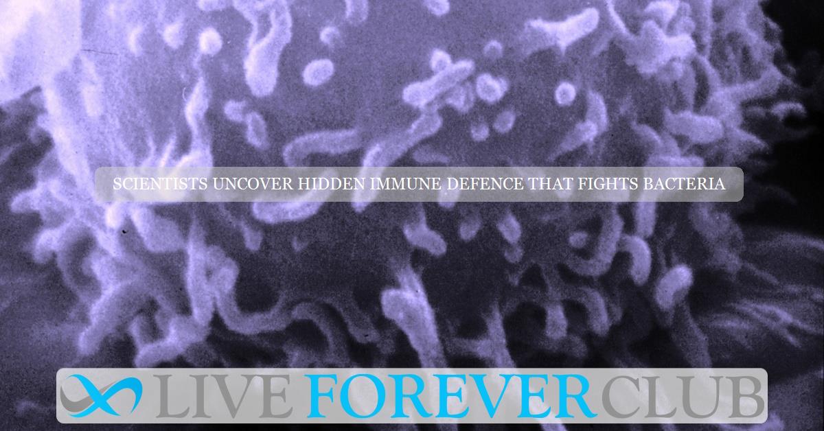 Scientists uncover hidden immune defence that fights bacteria