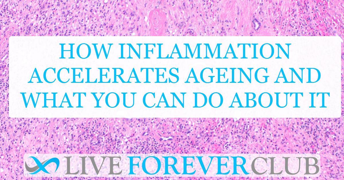 How inflammation accelerates ageing and what you can do about it