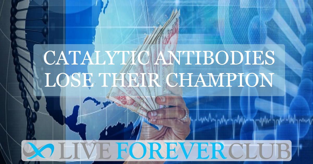 Catalytic antibodies lose their champion