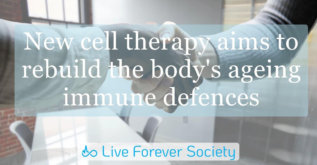New cell therapy aims to rebuild the body's ageing immune defences