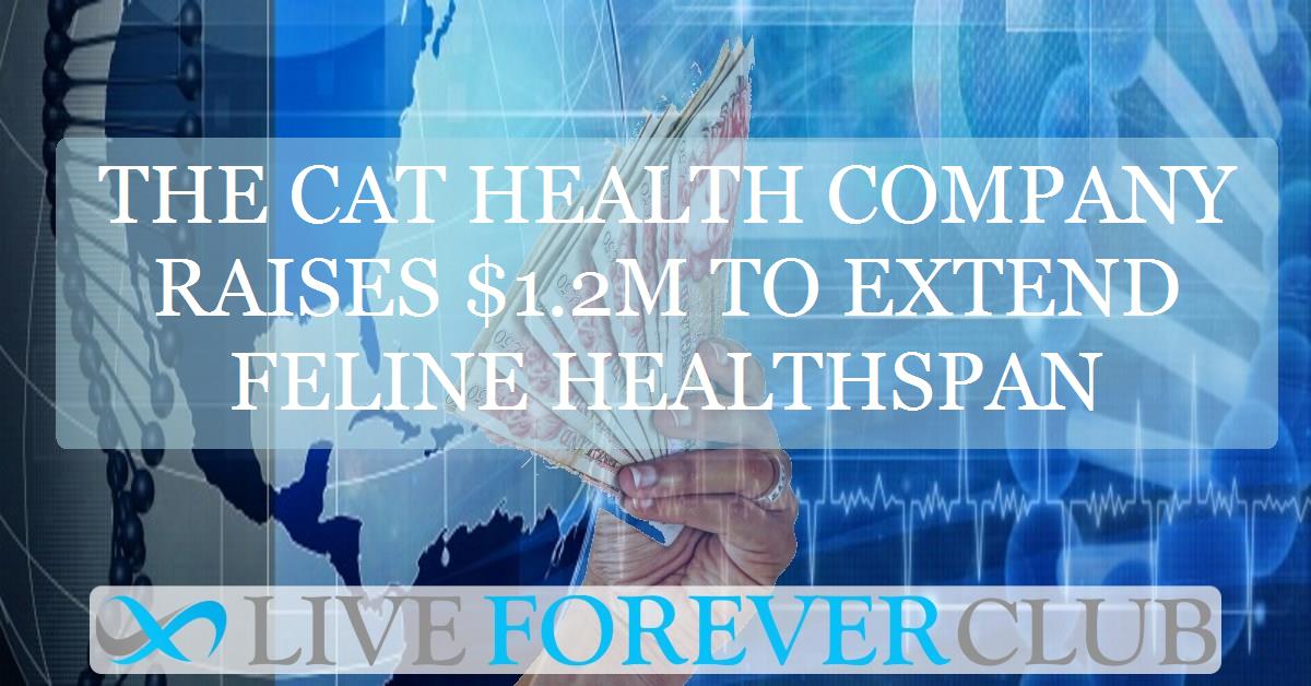 The Cat Health Company raises $1.2m to extend feline healthspan