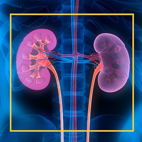 Mobile app rapidly alerts clinicians of acute kidney injury