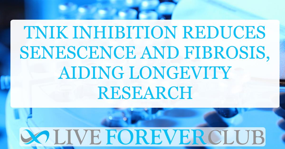 TNIK inhibition reduces senescence and fibrosis, aiding longevity research