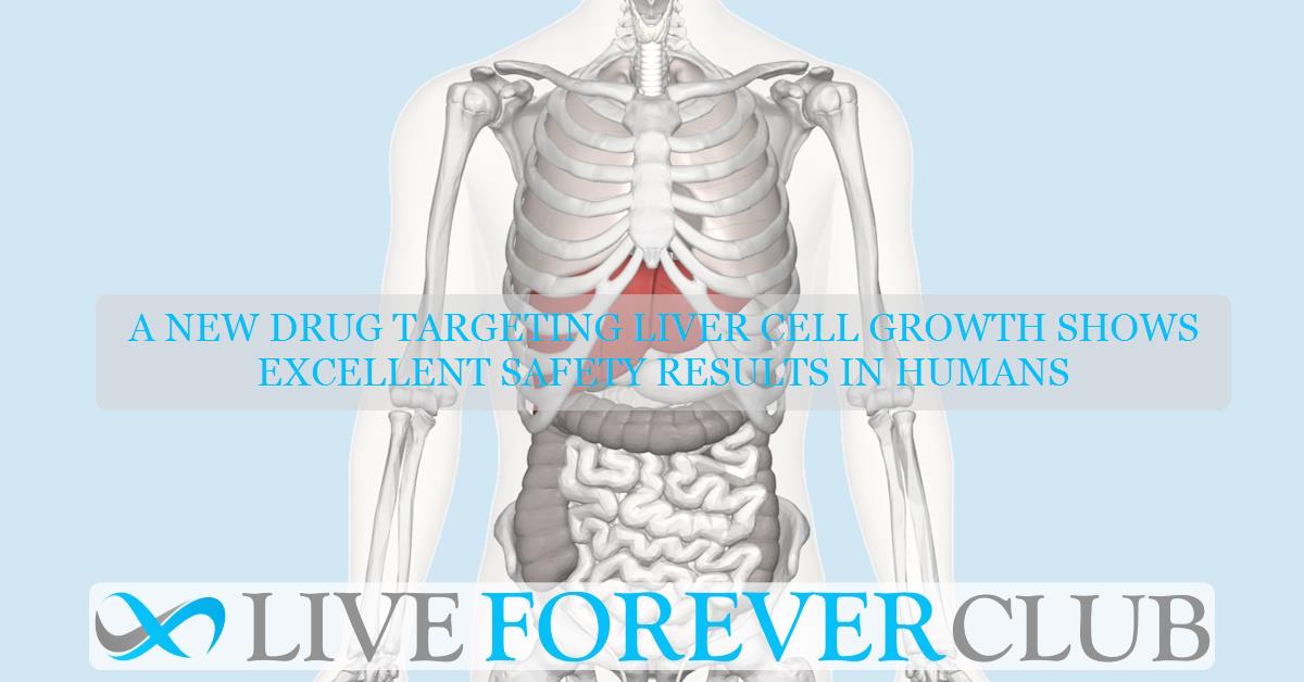 A new drug targeting liver cell growth shows excellent safety results in humans