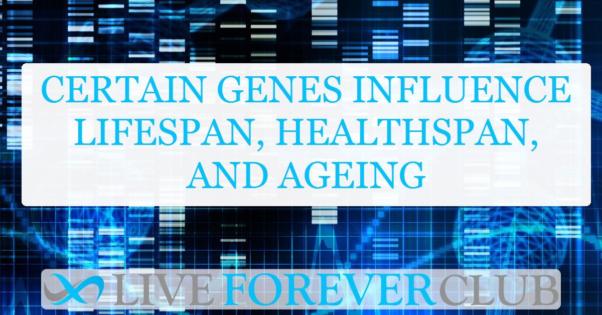 Certain genes influence lifespan, healthspan, and ageing