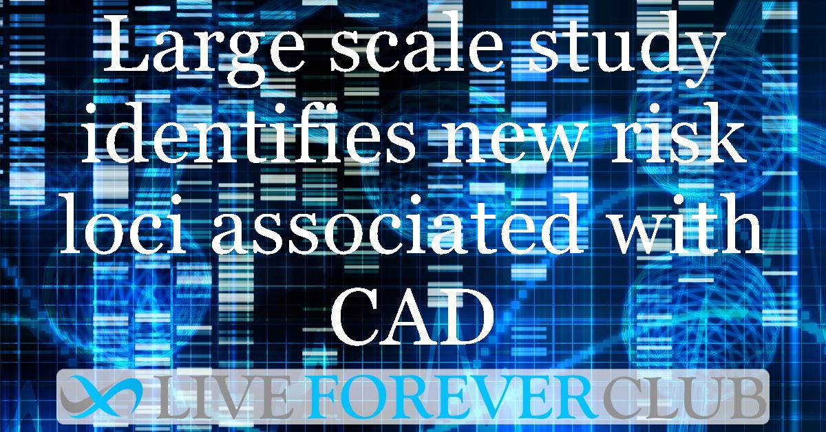 Large scale study identifies new risk loci associated with CAD (coronary artery disease)