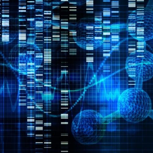 Centenarians stay healthier longer due to unique genes and stable biology