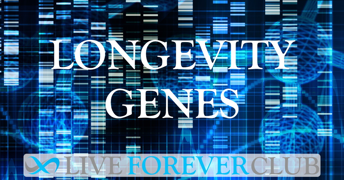 Longevity Genes