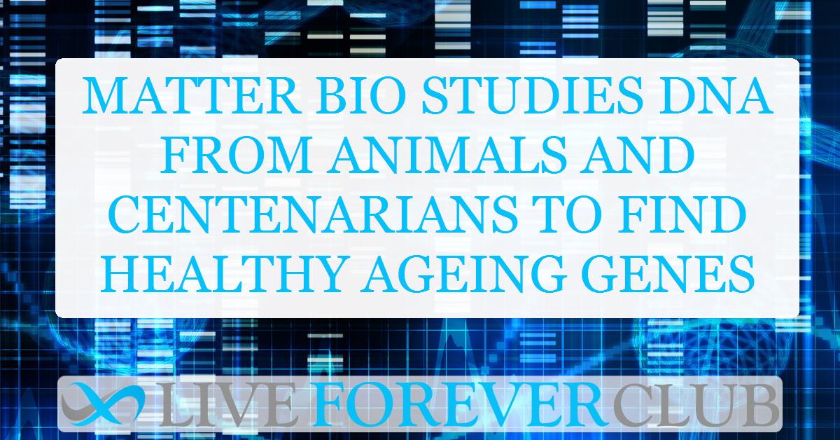 Matter Bio studies DNA from animals and centenarians to find healthy ageing genes