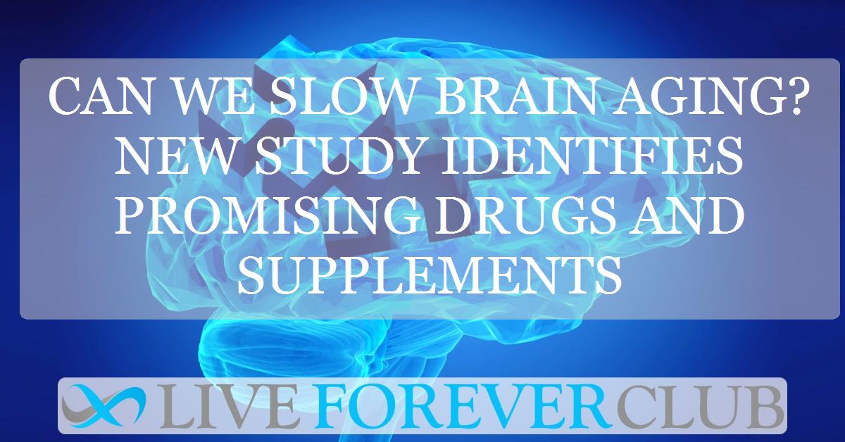 Can we slow brain ageing? New study identifies promising drugs and supplements