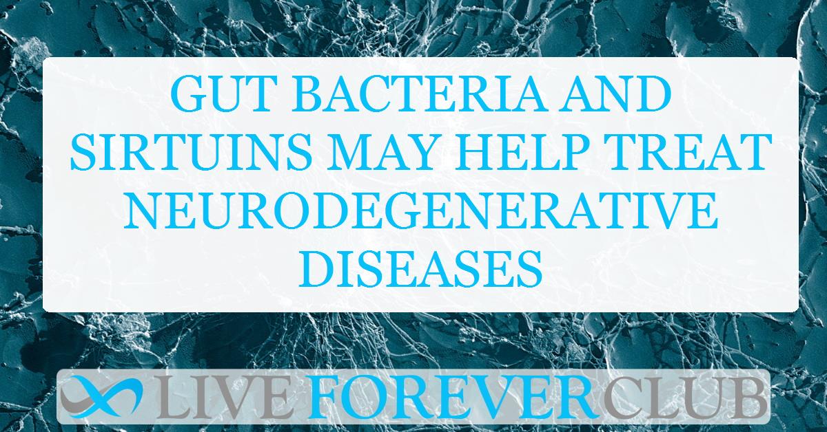 Gut bacteria and sirtuins may help treat neurodegenerative diseases