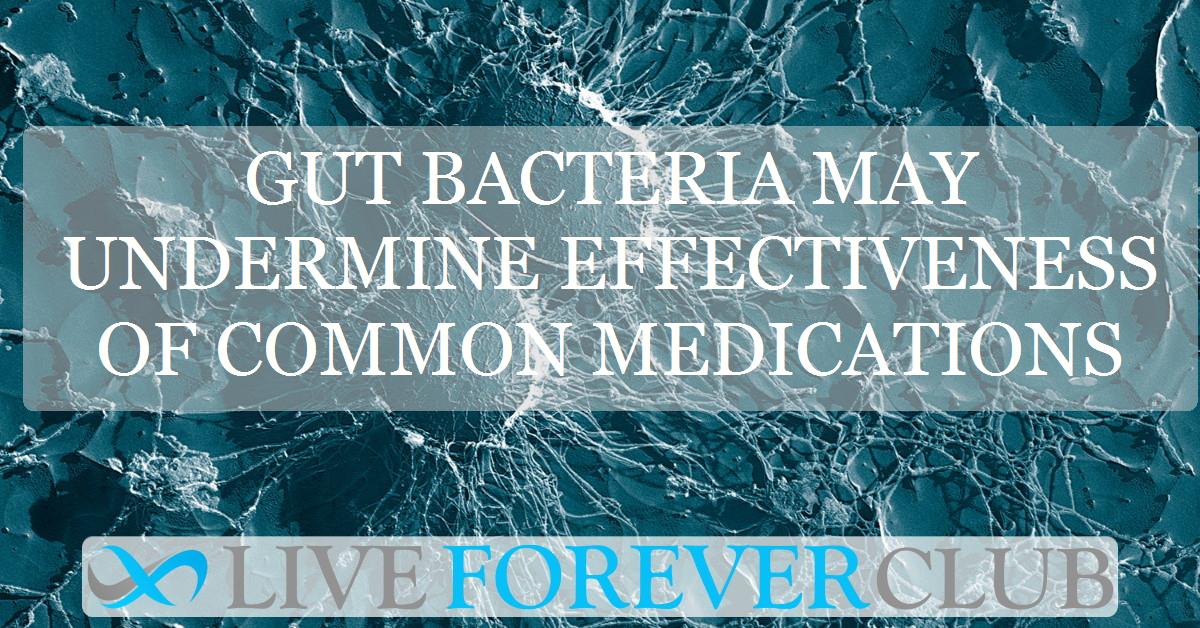 Gut bacteria may undermine effectiveness of common medications