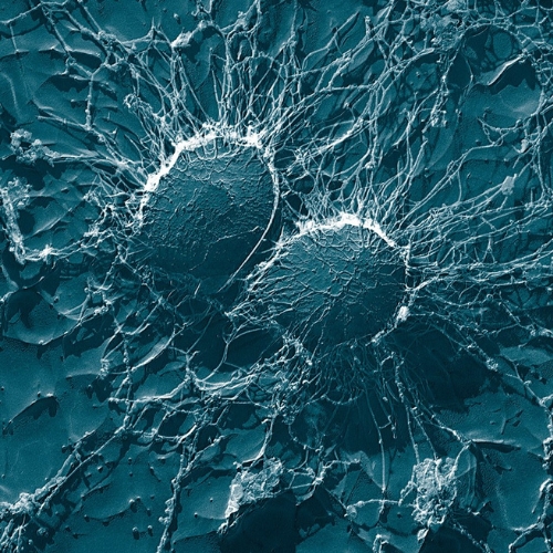 More Microbiome information, news and resources