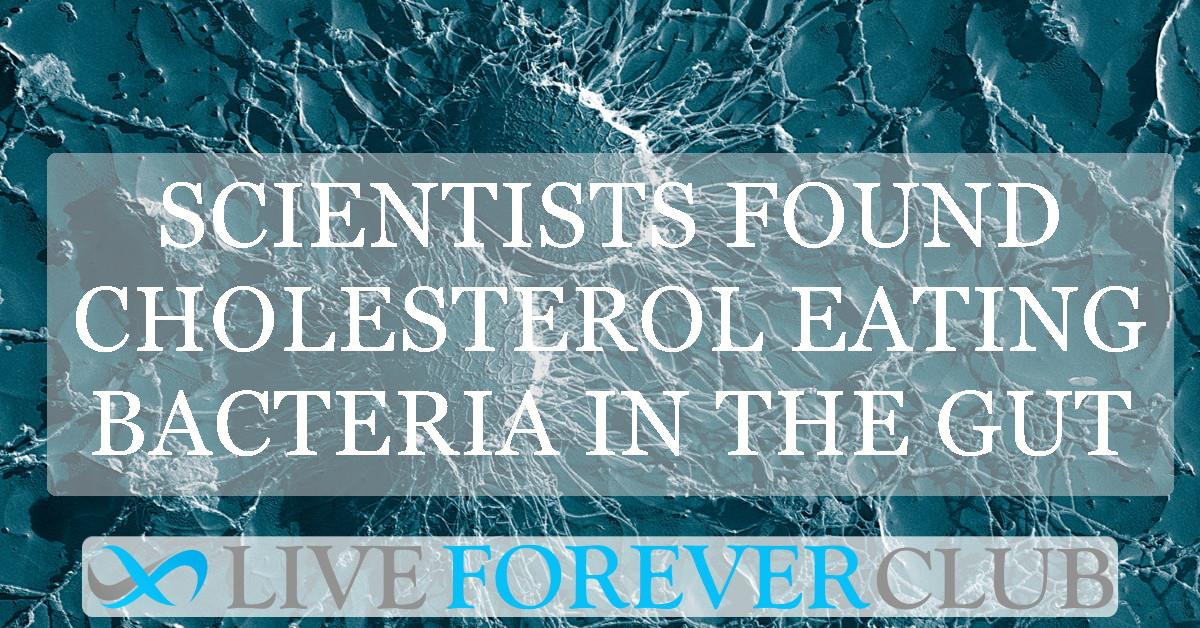 Scientists found cholesterol eating bacteria in the gut