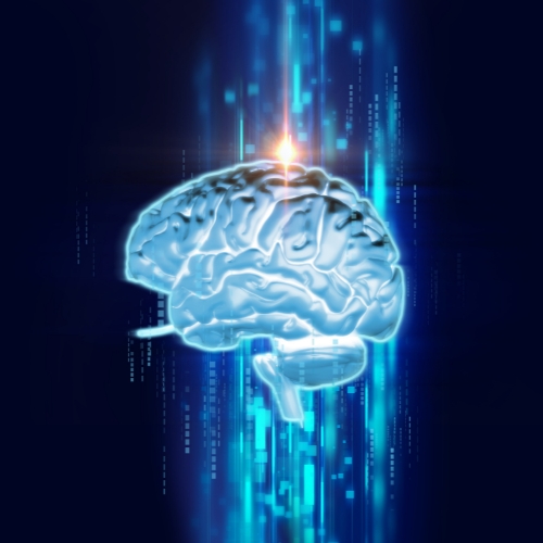 Could preserving brain data bring people back to life?