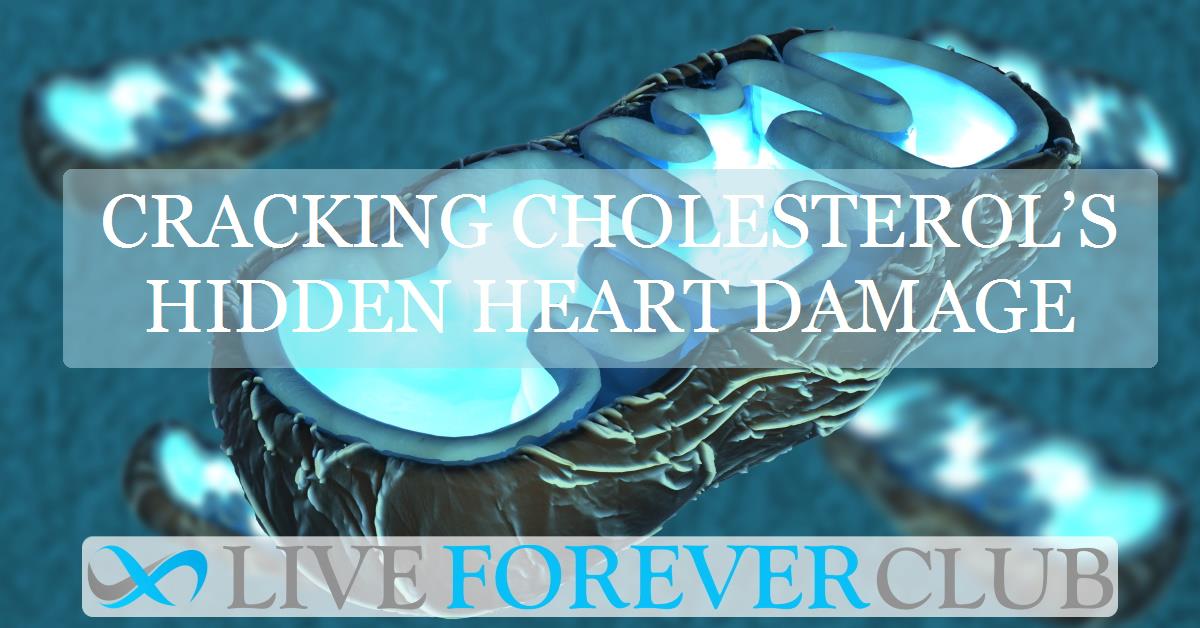 Cracking cholesterol’s hidden heart damage
