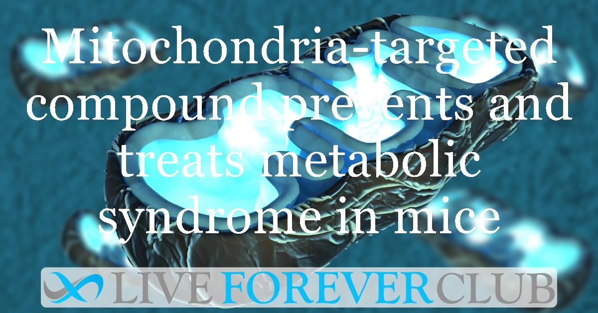 Mitochondria-targeted compound prevents and treats metabolic syndrome in mice