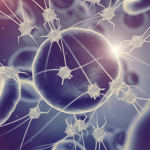 Nanorobotics symposium explores the future of precision medicine