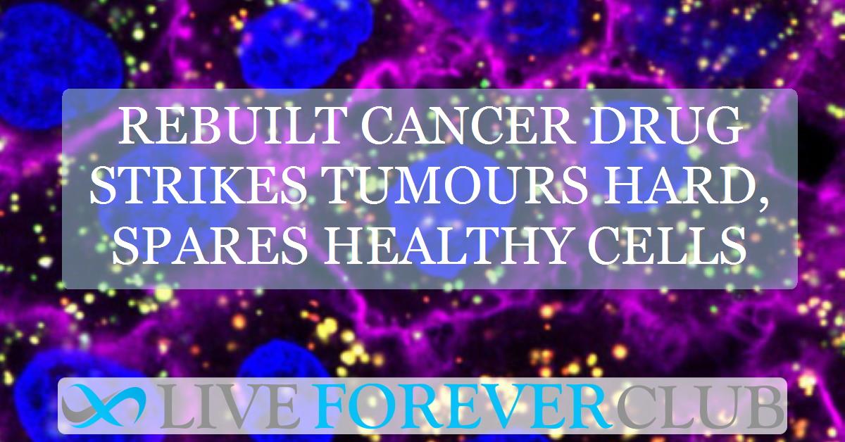 Rebuilt cancer drug strikes tumours hard, spares healthy cells