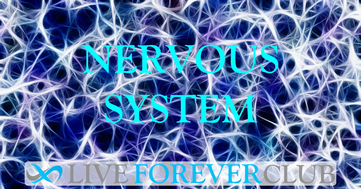 Nervous System