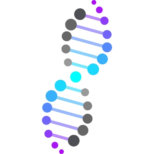 2bPrecise information and news