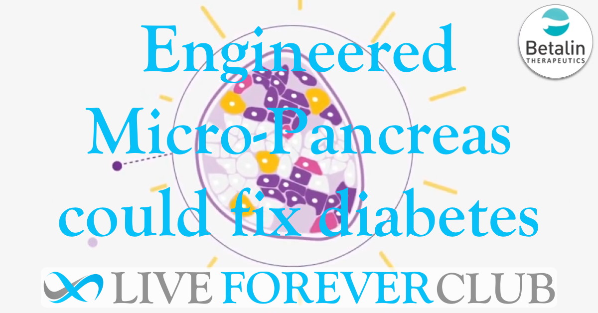 Engineered Micro-Pancreas (EMP) could rectify diabetes