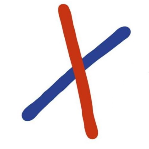 CeGaT information and news